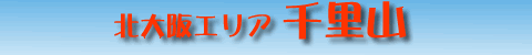 痢RGA