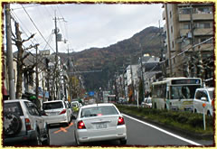 啶R